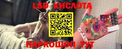 тгк Новодвинск