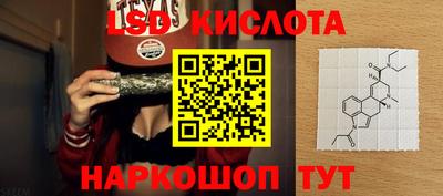тгк Новодвинск