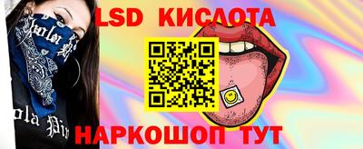 тгк Новодвинск