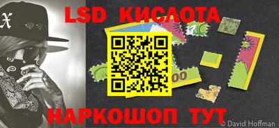 тгк Новодвинск