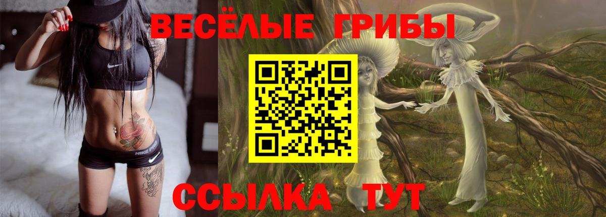 Псилоцибиновые грибы Cubensis Урус-Мартан