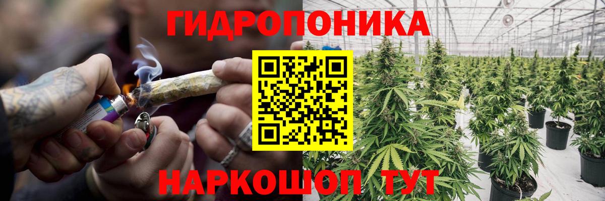 Бошки марихуана планчик Урус-Мартан